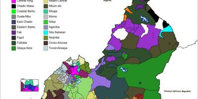 Karta över Kamerun språk